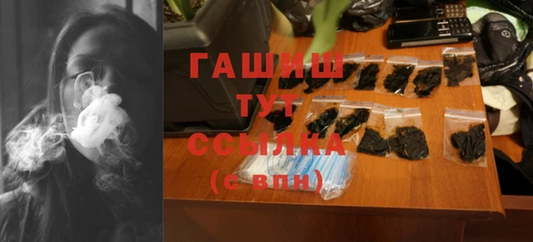 мдпв Каменка