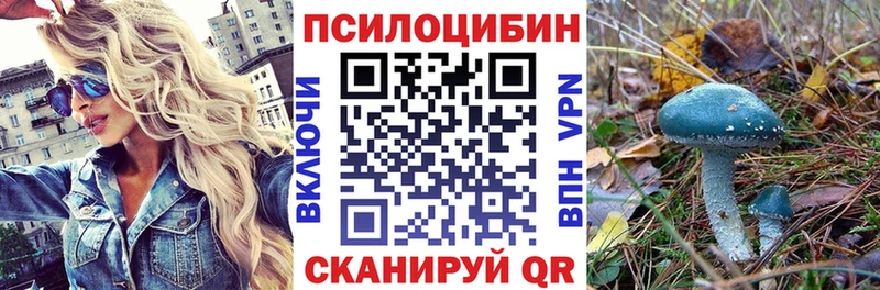 Псилоцибиновые грибы Psilocybine cubensis  Козельск 